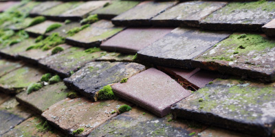 Nottingham roof repair costs